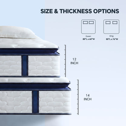Bezzze Firm Queen Mattress, 12 Inch Hybrid Queen Size Mattress in a Box, Memory Foam and Individual Pocket Spring for Motion Isolation, Edge Support, Pressure Relief & CertiPUR-US Certified