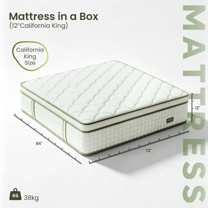 Bezzze Twin Mattress, 10 inch Hybrid Medium Firm Memory Foam Mattress in a Box, Individual Pocket Springs, Pressure Relief, CertiPUR-US Certified