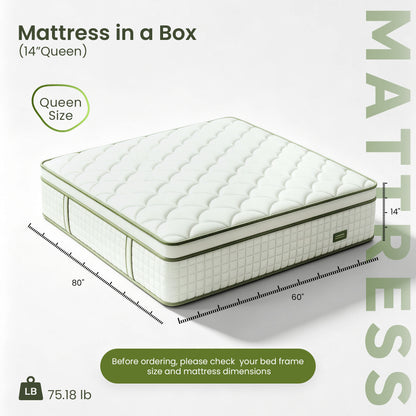 Bezzze Hybrid Mattress in a Box, Medium, Memory Foam & Pocketed Coils Delivers Strong Support & Pressure-Relieving Relaxation, CertiPUR-US Certified